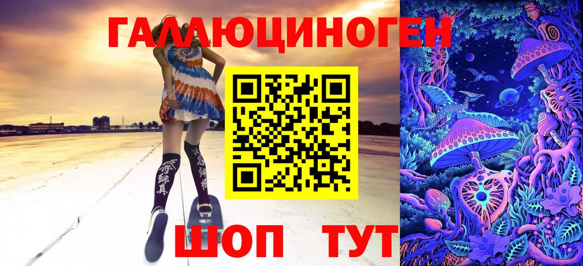 что такое наркотик  Вход с VPN  Псилоцибиновые грибы Psilocybe  Осинники  Галлюциногенные грибы Psilocybe 